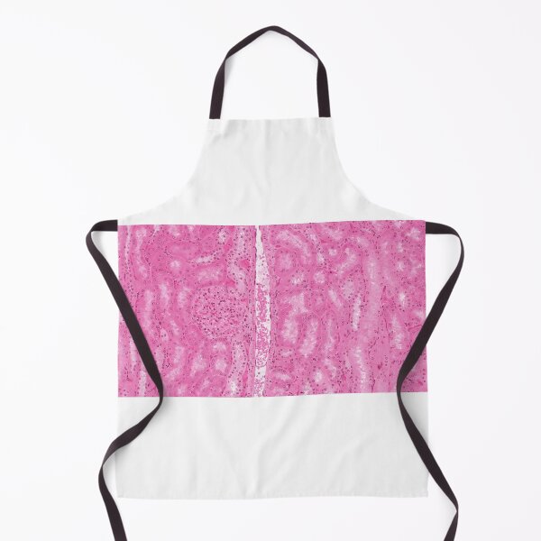 Item preview, Kidney Cortex designed and sold by Love Histology.