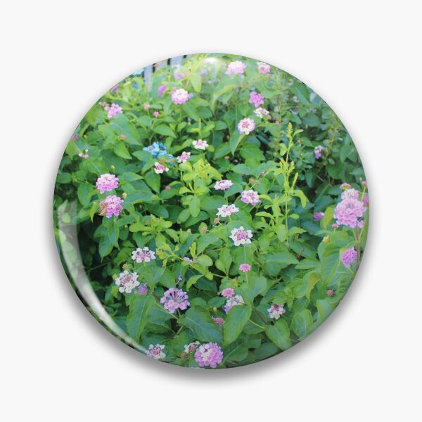 Item preview, Fenced-In Urban Flowers on Walk in Park I designed and sold by Silver Sky by Janet.