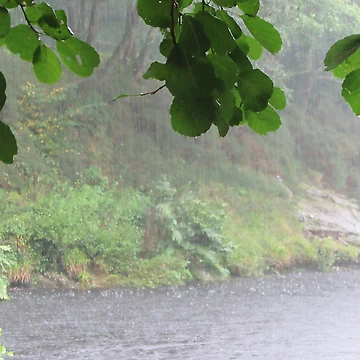 Artwork thumbnail, ....And It Rained by lezvee