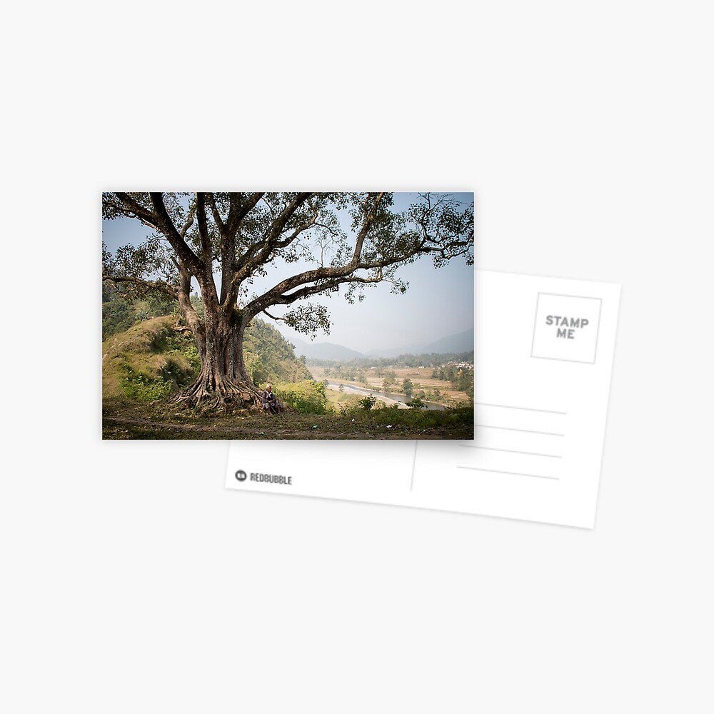 Item preview, Postcard designed and sold by missatgerebut.