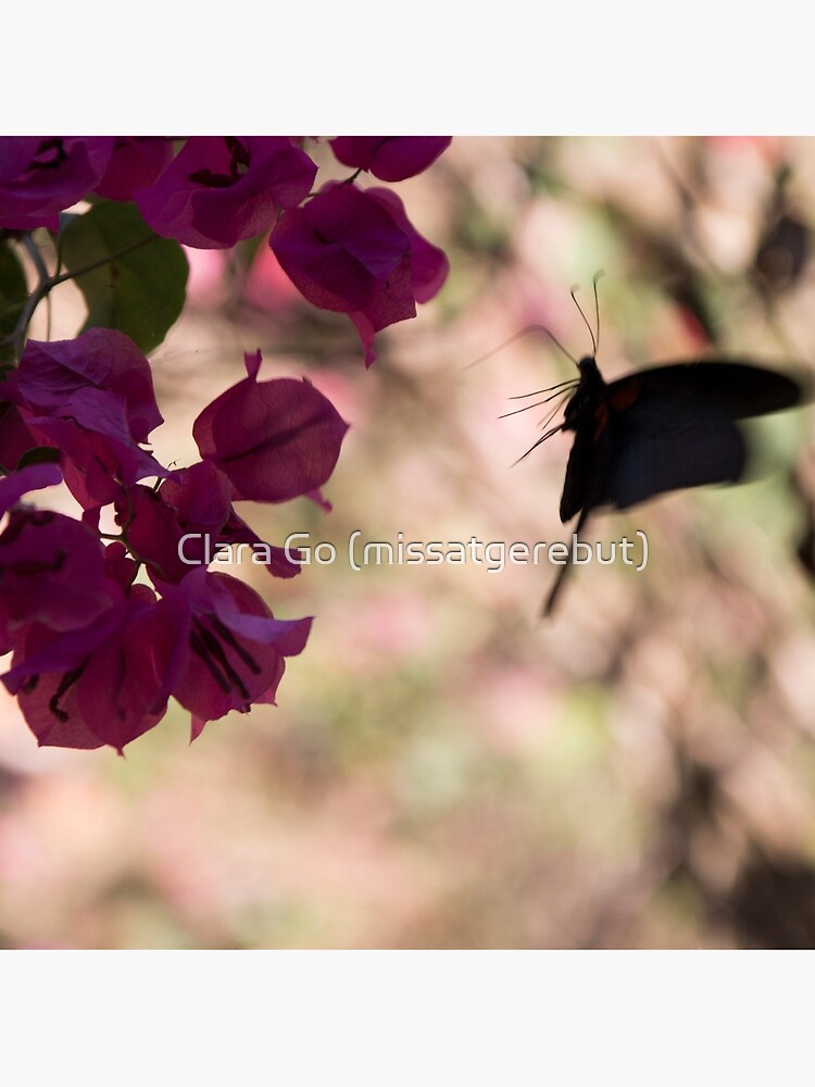 Thumbnail 2 of 2, Tote Bag, Butterfly flying over Flowers in Koh Kood designed and sold by missatgerebut.