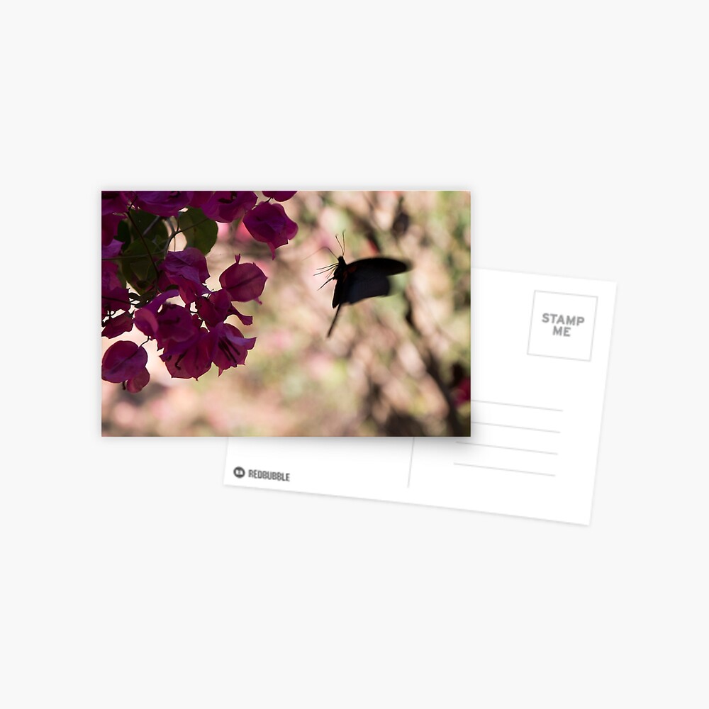 Item preview, Postcard designed and sold by missatgerebut.