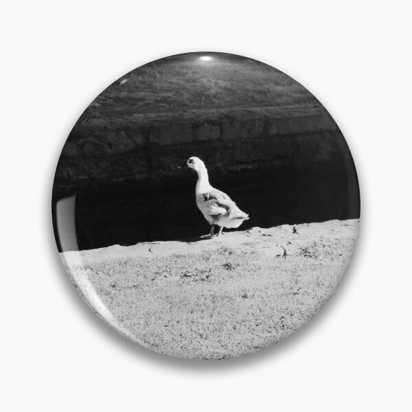 Artikelvorschau, Enten in Huntsvilles Big Spring Park I. entworfen und verkauft von Silver Sky by Janet.