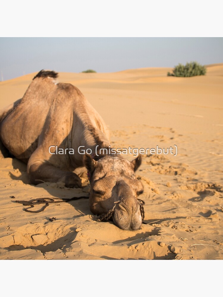 Thumbnail 2 of 2, Tote Bag, Poor Tired Camel designed and sold by missatgerebut.
