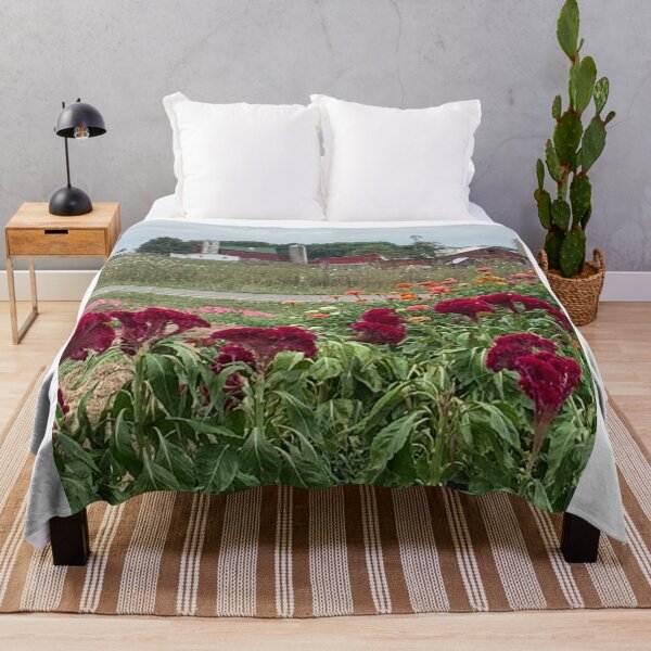 Item preview, Country roads  designed and sold by beachcamper.