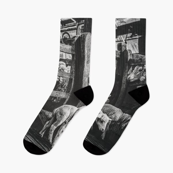 Item preview, Brindley Lambs designed and sold by Candice O'Neill.