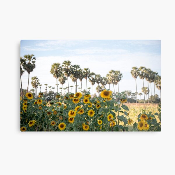 Sunflowers and Palm Metal Print