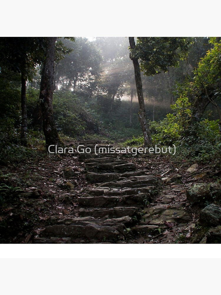 Thumbnail 2 of 2, Tote Bag, Stairs to the mountain designed and sold by missatgerebut.