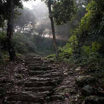 Artwork thumbnail, Stairs to the mountain by Clara Go (missatgerebut)