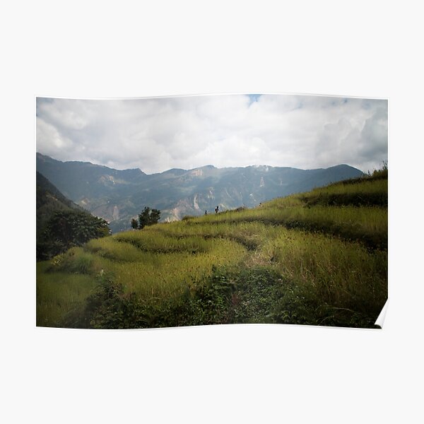 Millet terraces in Gorkha district Poster