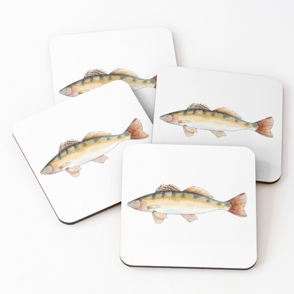 Item preview, Watercolor hand drawn illustration of Pike Perch fish designed and sold by FuzzyLogicKate.