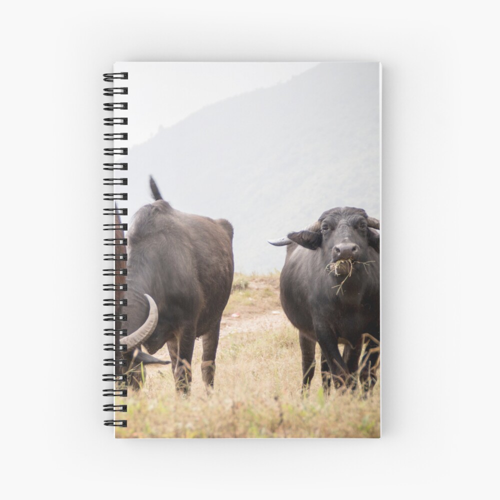 Item preview, Spiral Notebook designed and sold by missatgerebut.