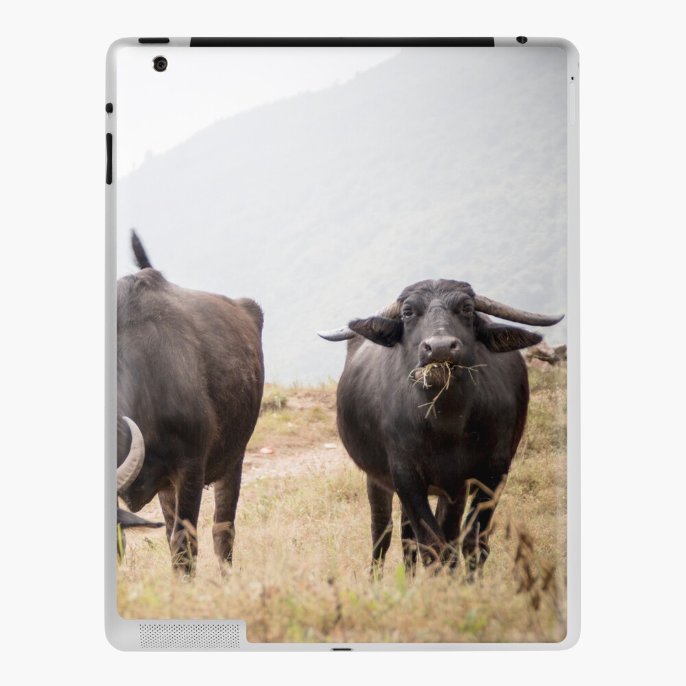 Item preview, iPad Skin designed and sold by missatgerebut.