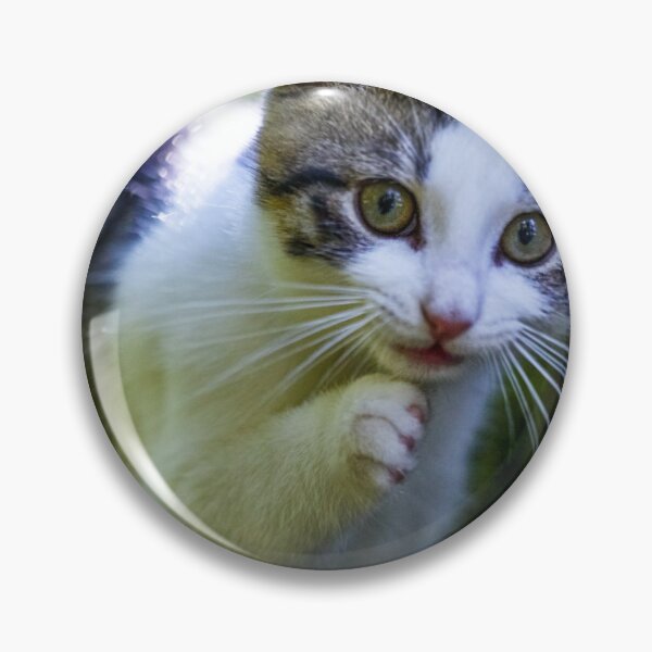 Item preview, Cute cat in the forest designed and sold by liberez-zitoune.