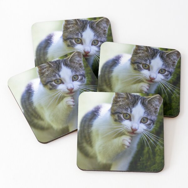 Item preview, Cute cat in the forest designed and sold by liberez-zitoune.