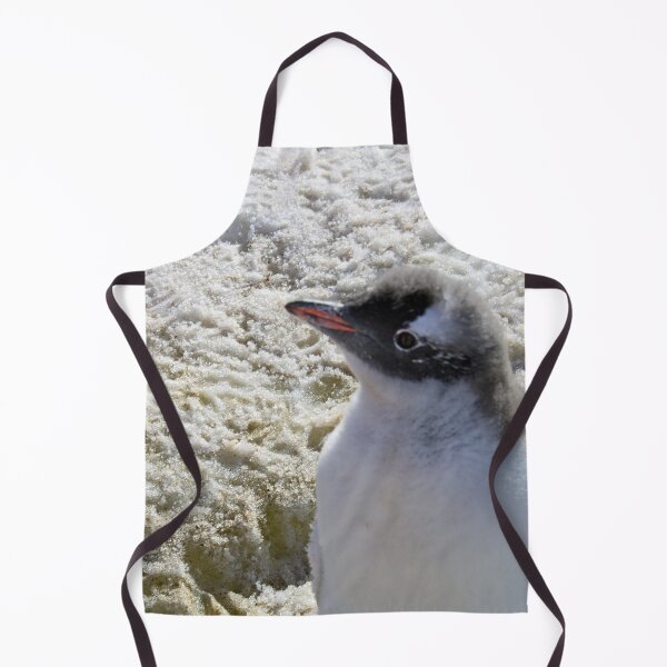 Item preview, Gentoo penguin chick designed and sold by HazelWright.
