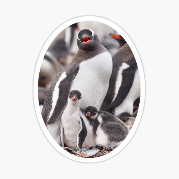 Good morning penguin! Sticker