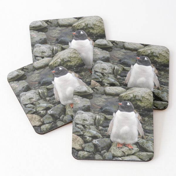 Artikelvorschau, Gentoo Pinguinküken entworfen und verkauft von HazelWright.