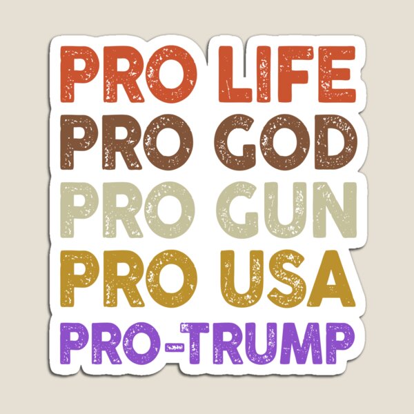 Pro Life Pro God Pro Gun Magnet