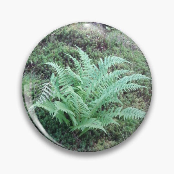 Item preview, Green ferns in the forest in Germany. designed and sold by Nt67.
