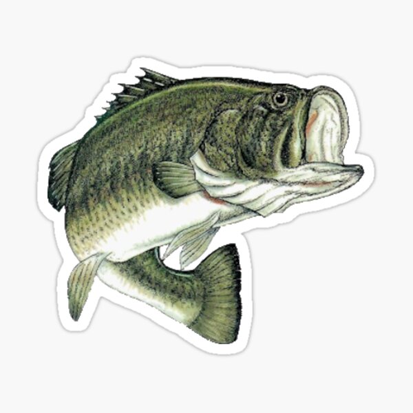 Largemouth Bass - Jumping Bass Sticker