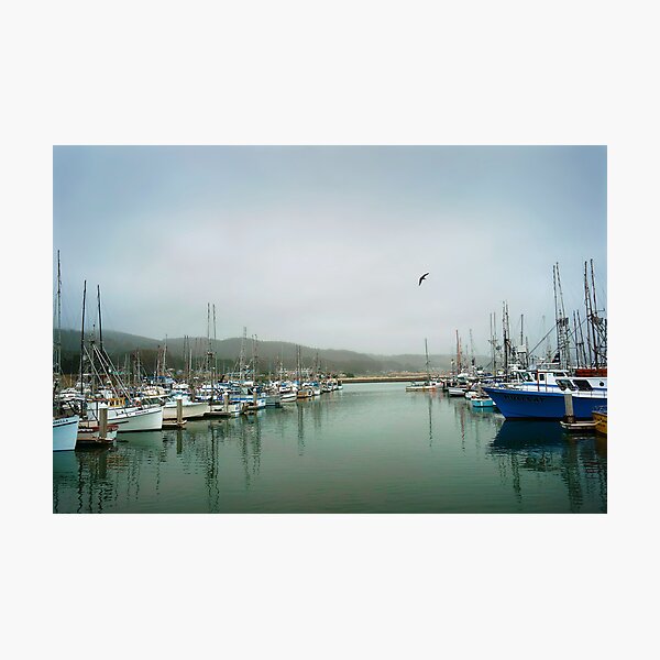 At Rest Photographic Print