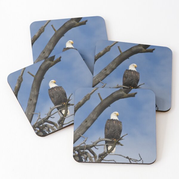 Item preview, Eagle proud  designed and sold by Kindredmoments.