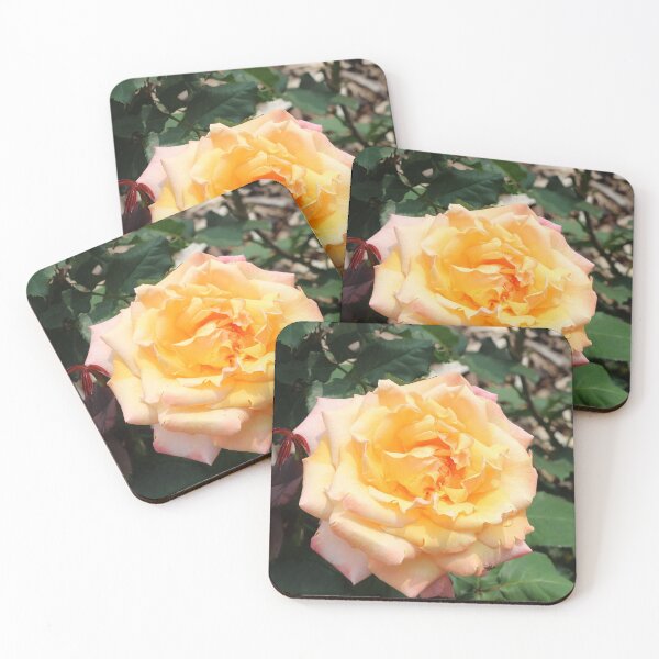 Item preview, Yellow and Pink Blooming Rose designed and sold by Susie Kramer.