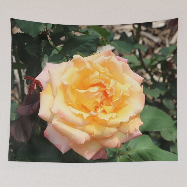 Item preview, Yellow and Pink Blooming Rose designed and sold by Susie Kramer.