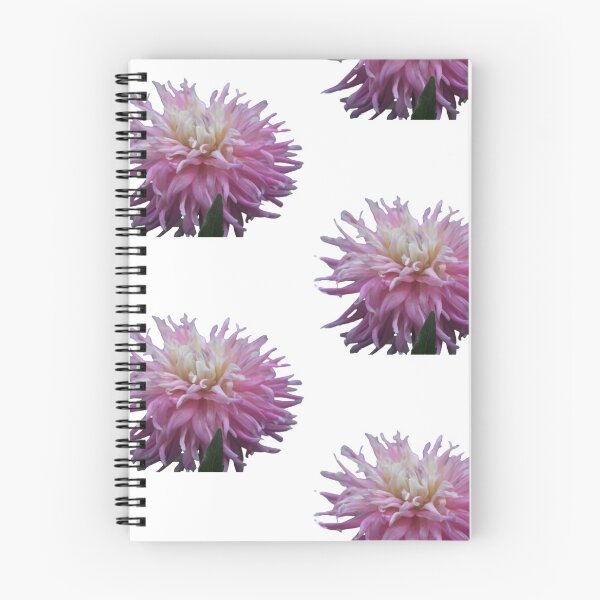 Item preview, Pink Dahlia with a Yellow Center set in a White Background by LisetteV designed and sold by Vero De.