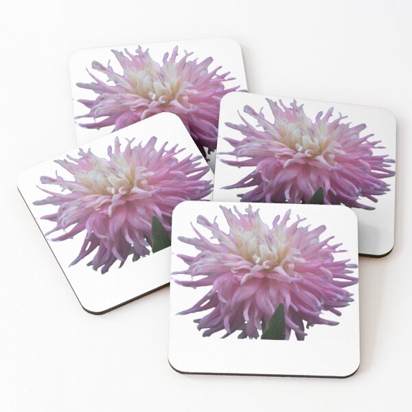 Item preview, Pink Dahlia with a Yellow Center set in a White Background by LisetteV designed and sold by Vero De.