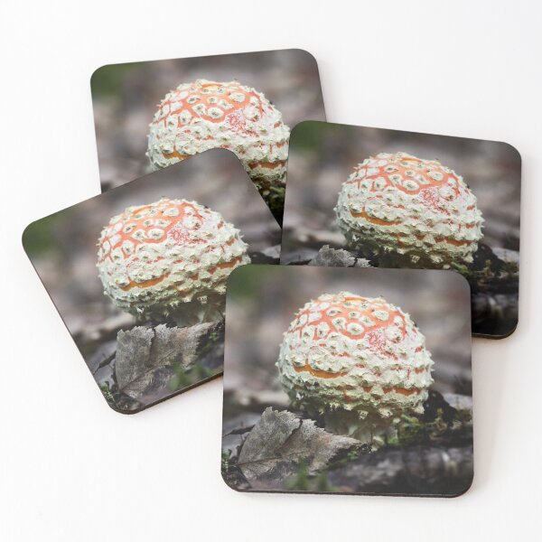 Item preview, New ball coming. Fly amanita designed and sold by Jouko Lehto Photography.