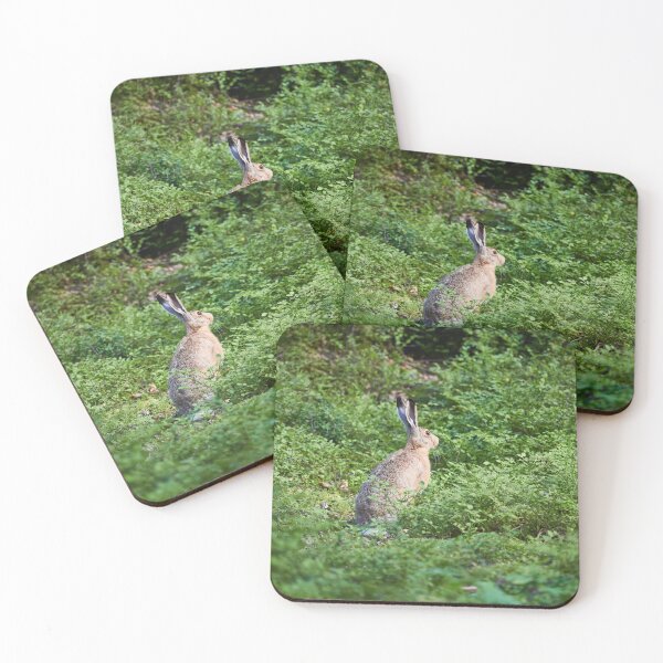 Item preview, All that green around. European hare designed and sold by Jouko Lehto Photography.