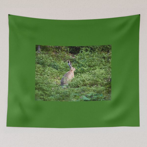 Item preview, All that green around. European hare designed and sold by Jouko Lehto Photography.