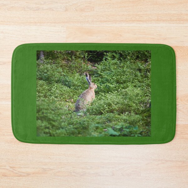 Item preview, All that green around. European hare designed and sold by Jouko Lehto Photography.