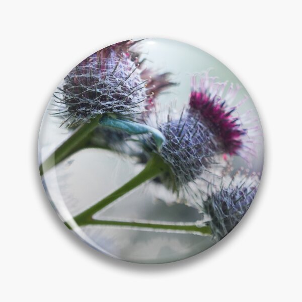 Item preview, Gentle lights Woolly burdock 1 designed and sold by Jouko Lehto Photography.