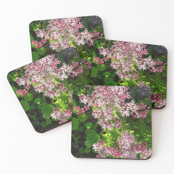 Item preview, Beautiful pink flower in the forest. designed and sold by Nt67.