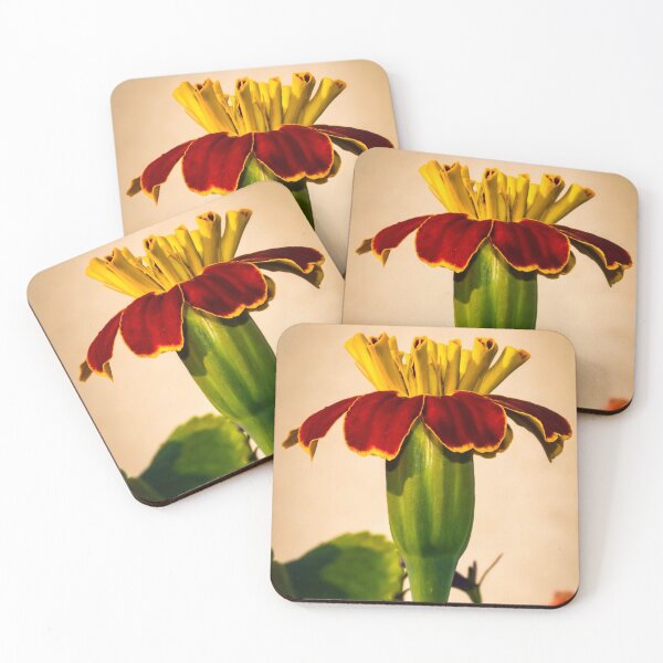 Item preview, Blooming Marigold designed and sold by KLAPhotography.
