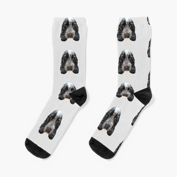 cocker spaniel accessories