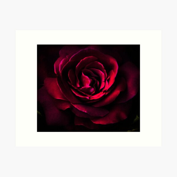 Item preview, Dark Red Vintage Rose designed and sold by TeeGals.