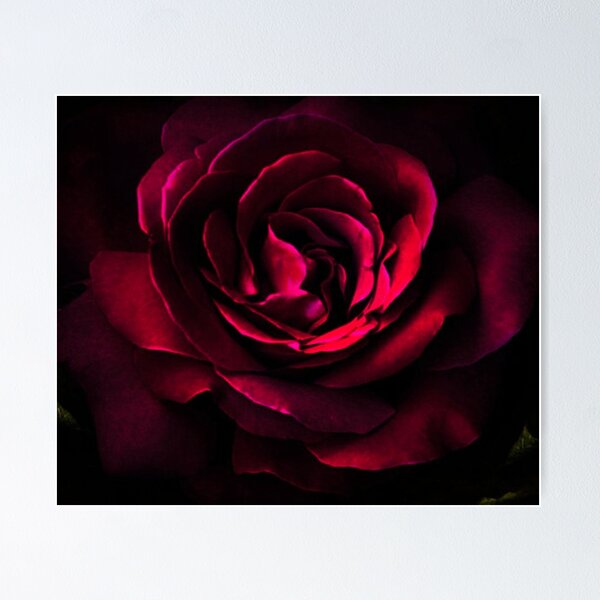 Item preview, Dark Red Vintage Rose designed and sold by TeeGals.