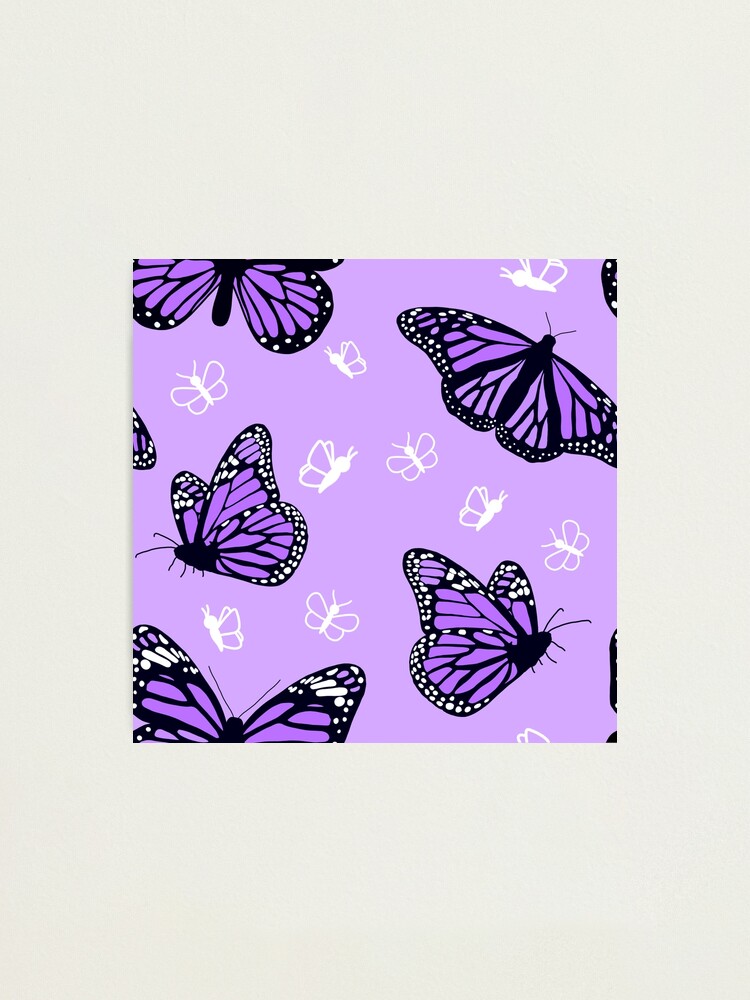 Fotodruck for Sale mit Schöne lila Schmetterlinge von Sarahgranchelli