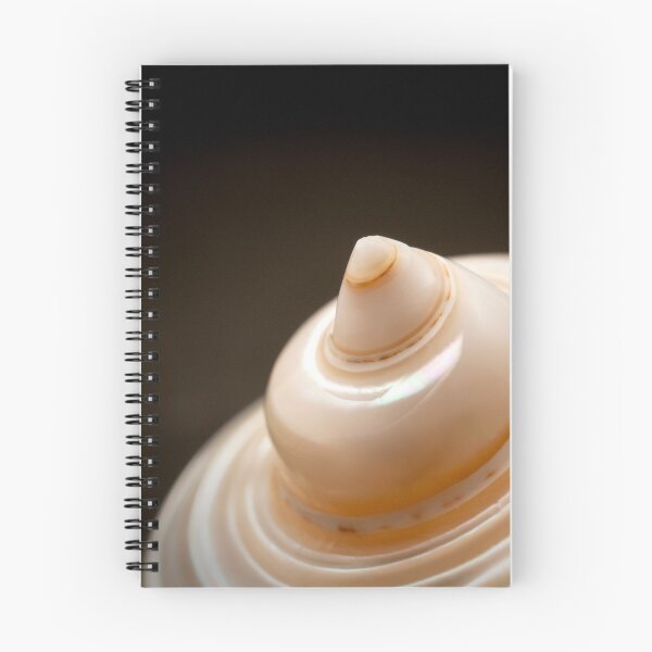Item preview, Seashell designed and sold by troianifabrizio.