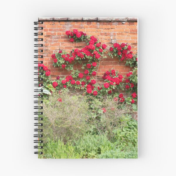 Item preview, Old Walled Garden #2 designed and sold by ccullen222.