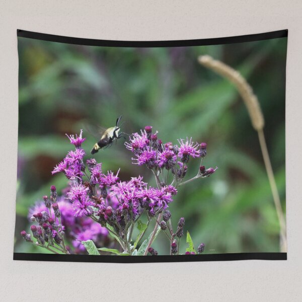 Item preview, Snowberry Clearwing Moth on Ironweed designed and sold by mark-bugs-org.