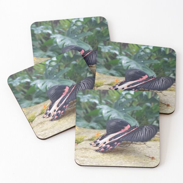 Item preview, Showing Off designed and sold by LilBearArtistry.