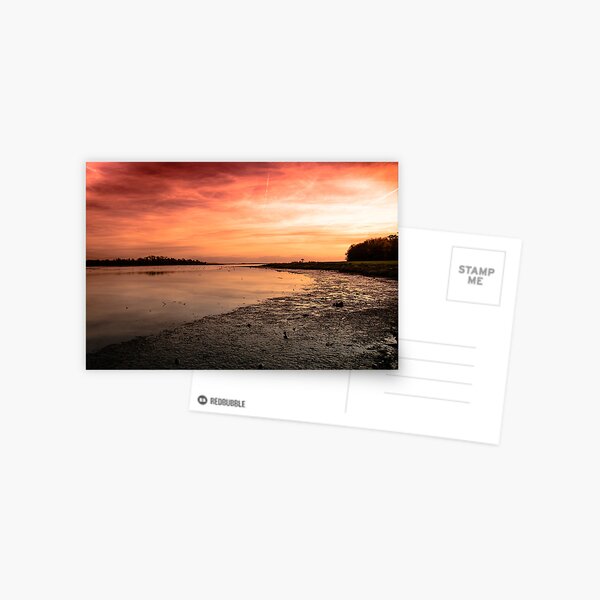 The Estuary Postcard