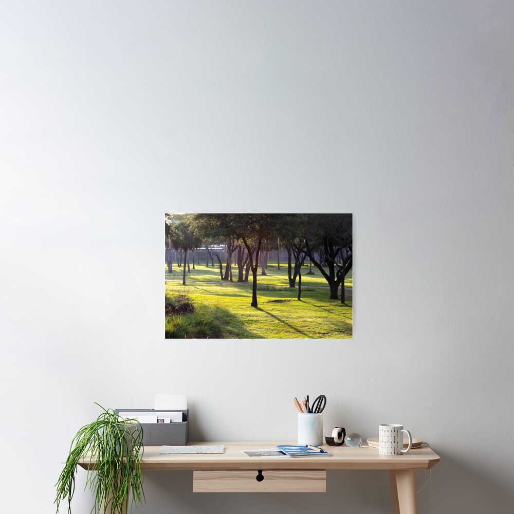 Morning in Africa Poster
