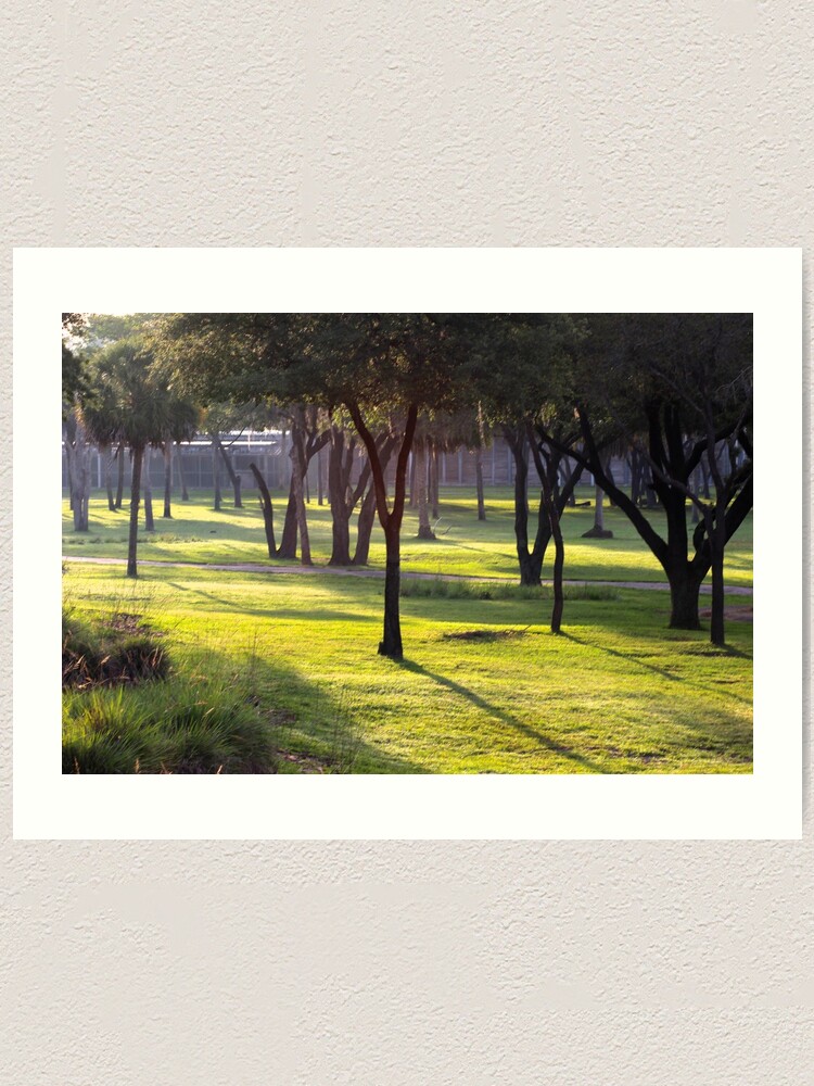 Alternate view of Morning in Africa Art Print