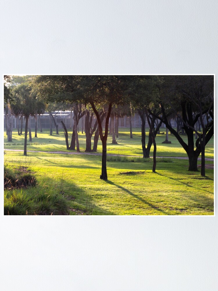 Alternate view of Morning in Africa Poster